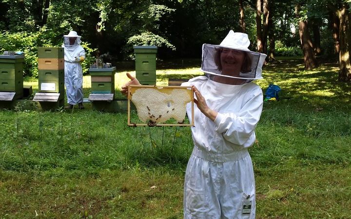 Naturschützer Dr. Corinna Hölzer zeigt ein Rähmchen mit Waben und Honigbienen.