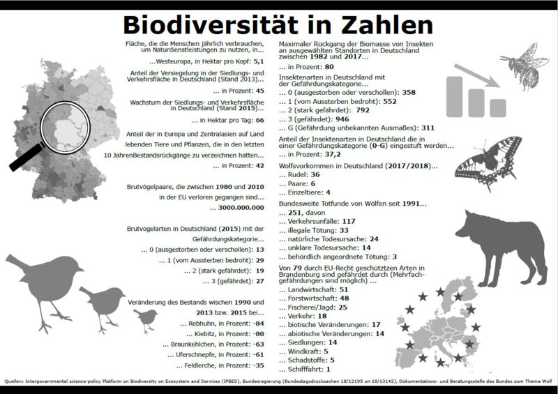 Biodiversität in Zahlen