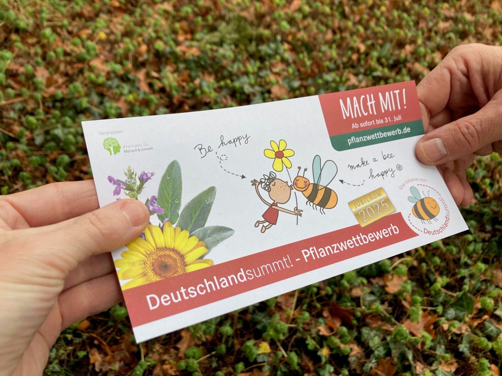 Deutschland summt!-Pflanzwettbewerb 2025, Flyer